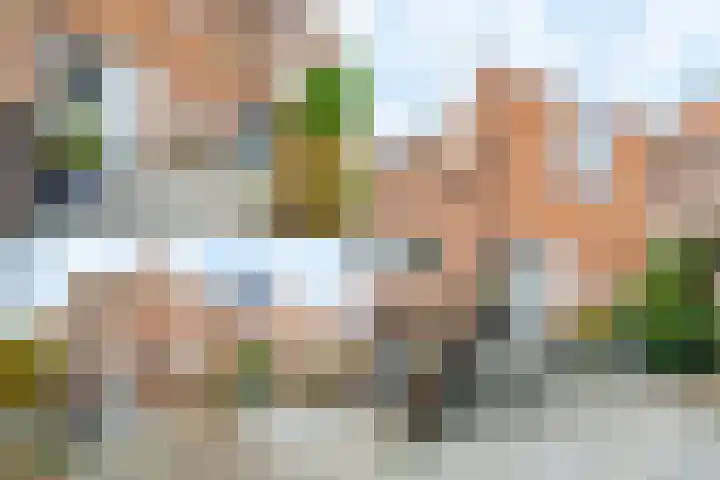 Hofzichtlaan 9 Noordwijkerhout thumbnail 6