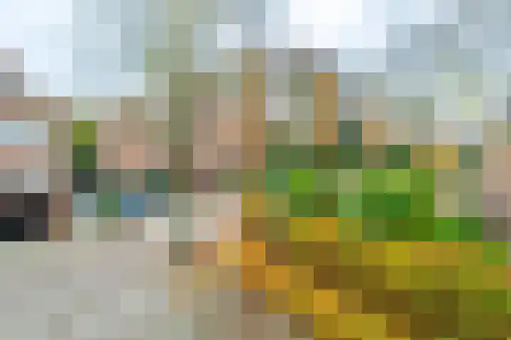 Hofzichtlaan 9 Noordwijkerhout thumbnail 62