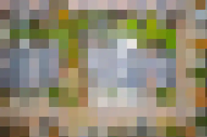 Hofzichtlaan 9 Noordwijkerhout thumbnail 66