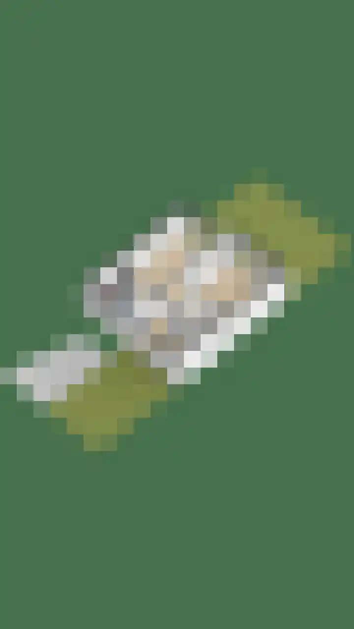 Hofzichtlaan 9 Noordwijkerhout thumbnail 79