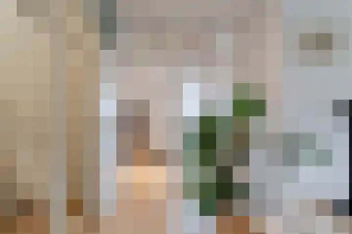 Hofzichtlaan 9 Noordwijkerhout thumbnail 8