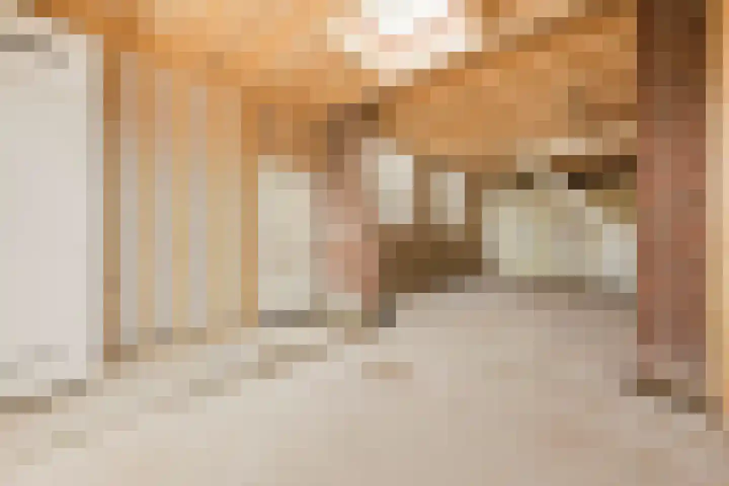 Hofzichtstraat 6 A Alphen aan den Rijn thumbnail 6