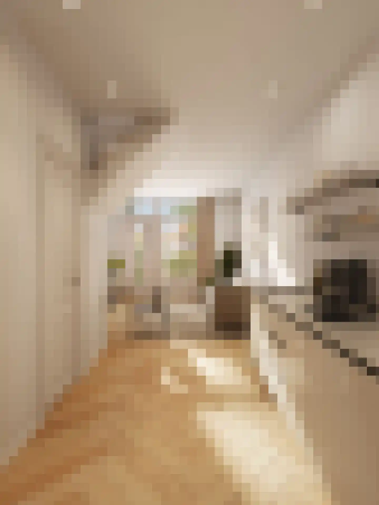 Hofzichtstraat 6 B Alphen aan den Rijn thumbnail 5