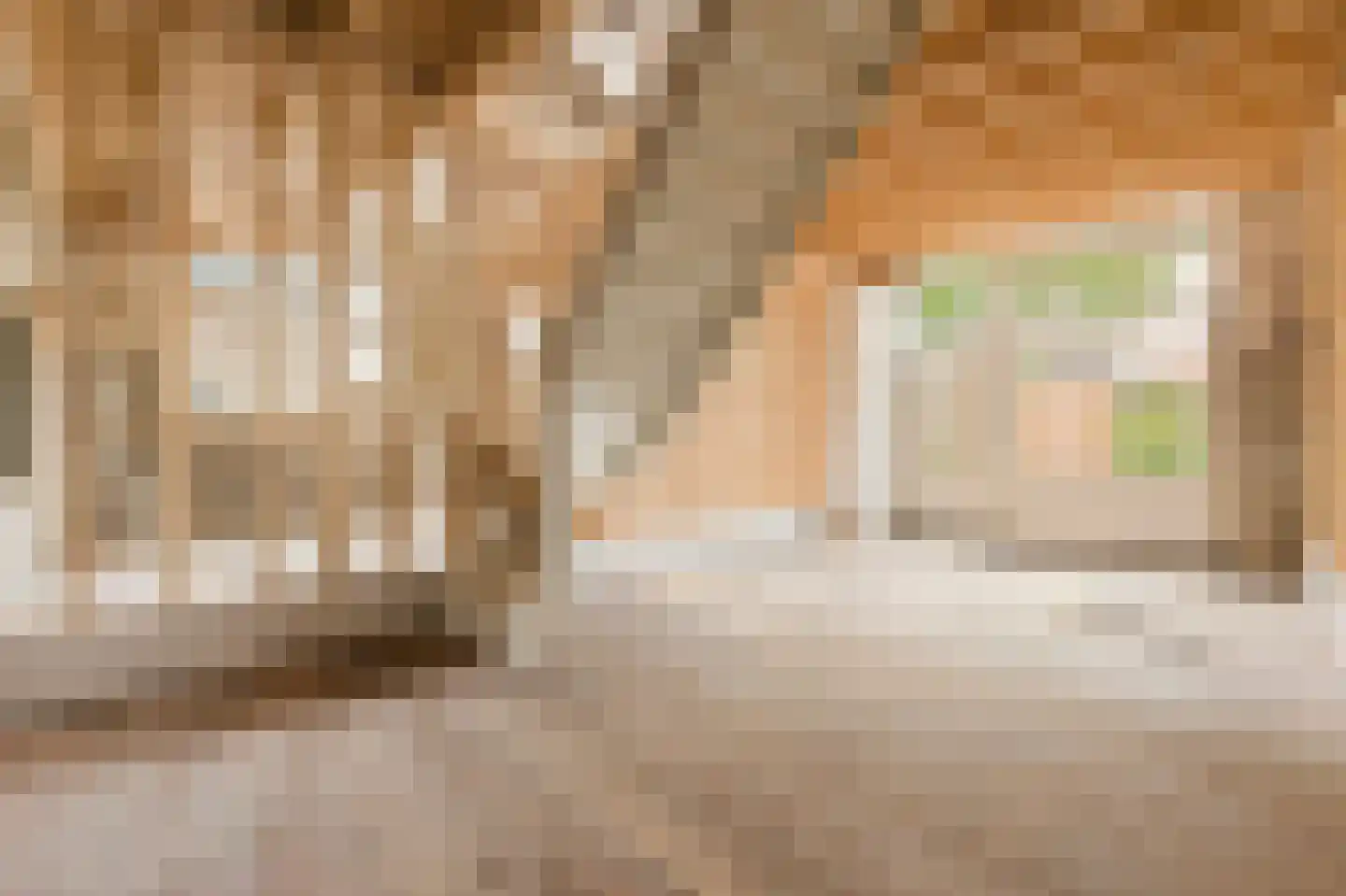 Hofzichtstraat 6 C Alphen aan den Rijn thumbnail 7