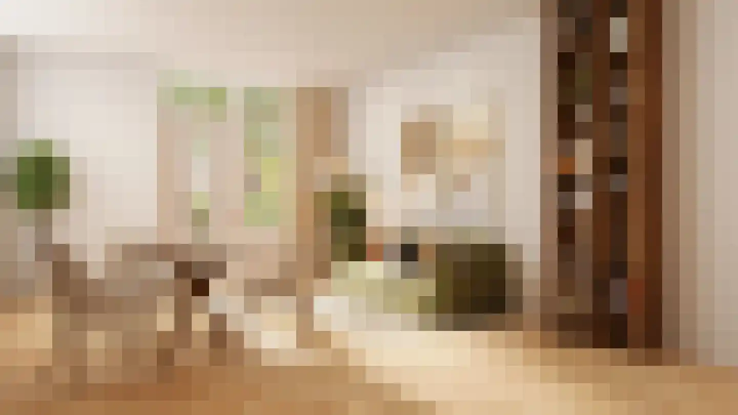 Hofzichtstraat 6 D Alphen aan den Rijn thumbnail 4