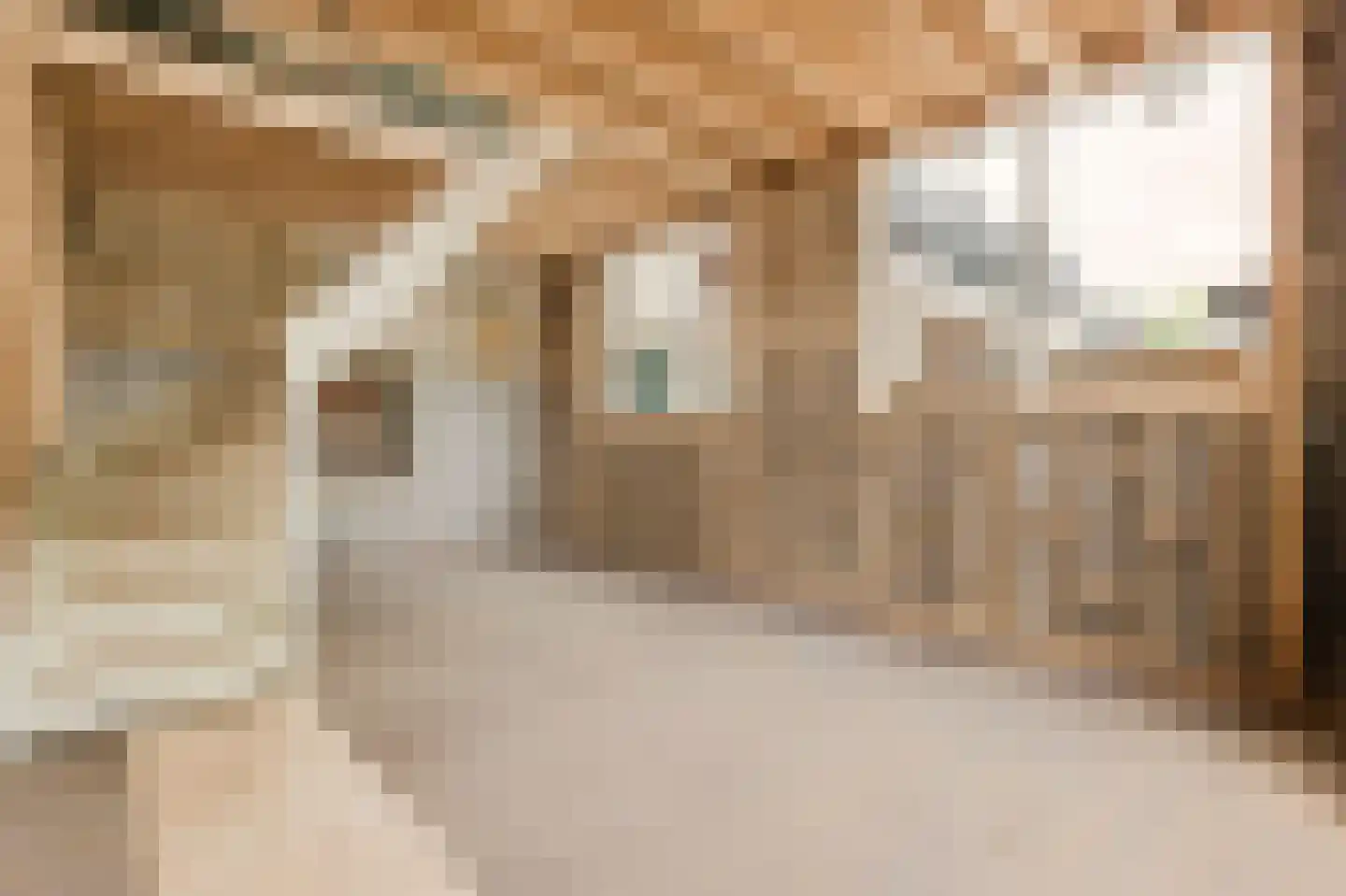 Hofzichtstraat 6 D Alphen aan den Rijn thumbnail 7
