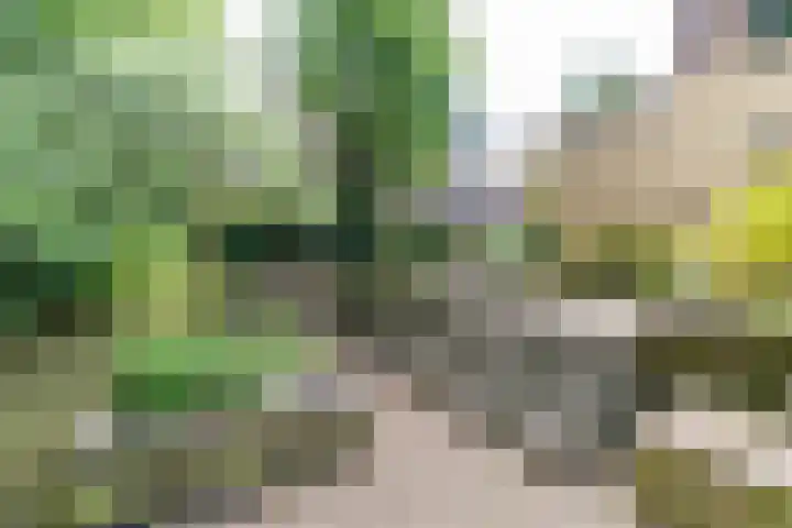 Hofzoom 27 Delft thumbnail 19