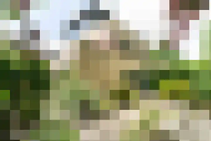Hofzoom 27 Delft thumbnail 21