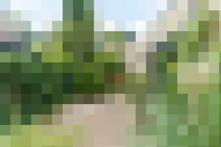 Hofzoom 27 Delft thumbnail 22