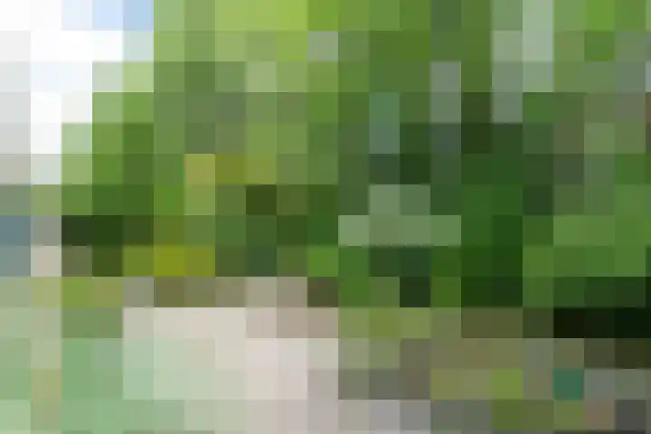 Hofzoom 27 Delft thumbnail 23