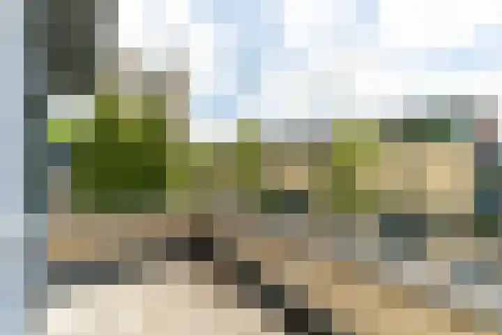 Hofzoom 27 Delft thumbnail 39