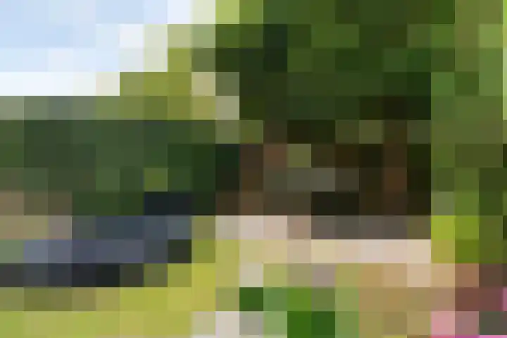 Hofzoom 36 Delft thumbnail 10