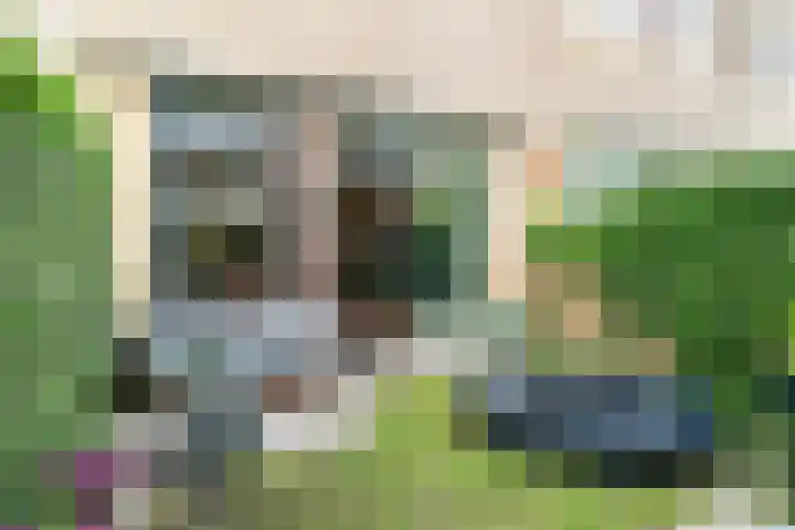 Hofzoom 36 Delft thumbnail 12