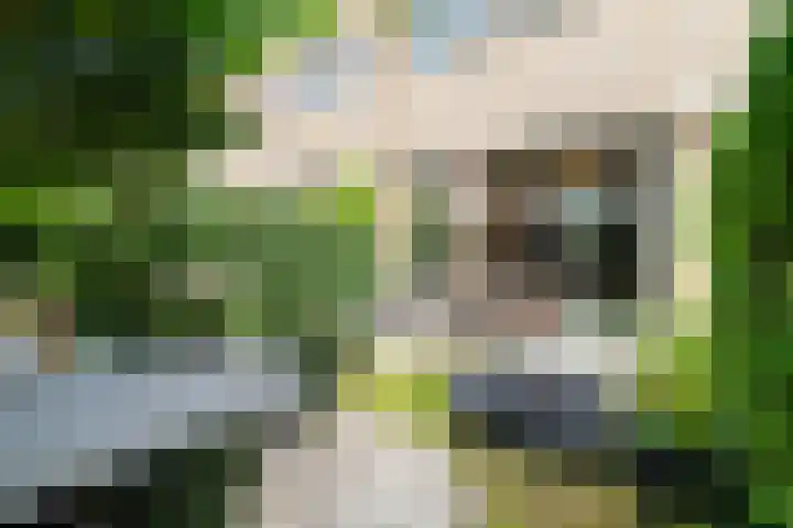 Hofzoom 36 Delft thumbnail 4