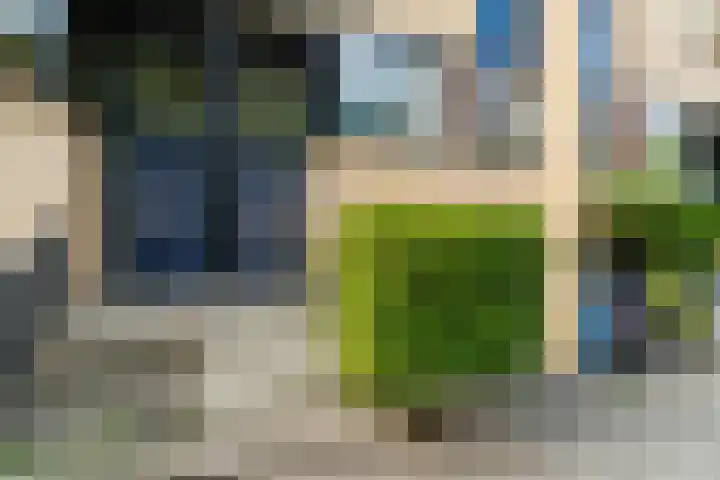 Hofzoom 36 Delft thumbnail 6