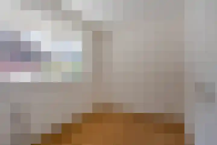Hogaarde 2 Someren thumbnail 16