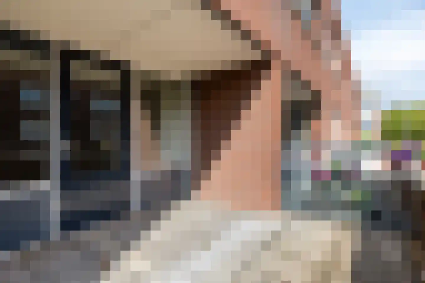 Hogaarde 20 Someren thumbnail 13