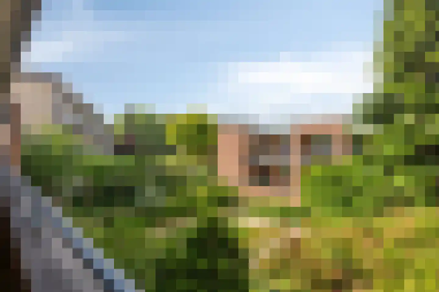 Hogaarde 20 Someren thumbnail 20