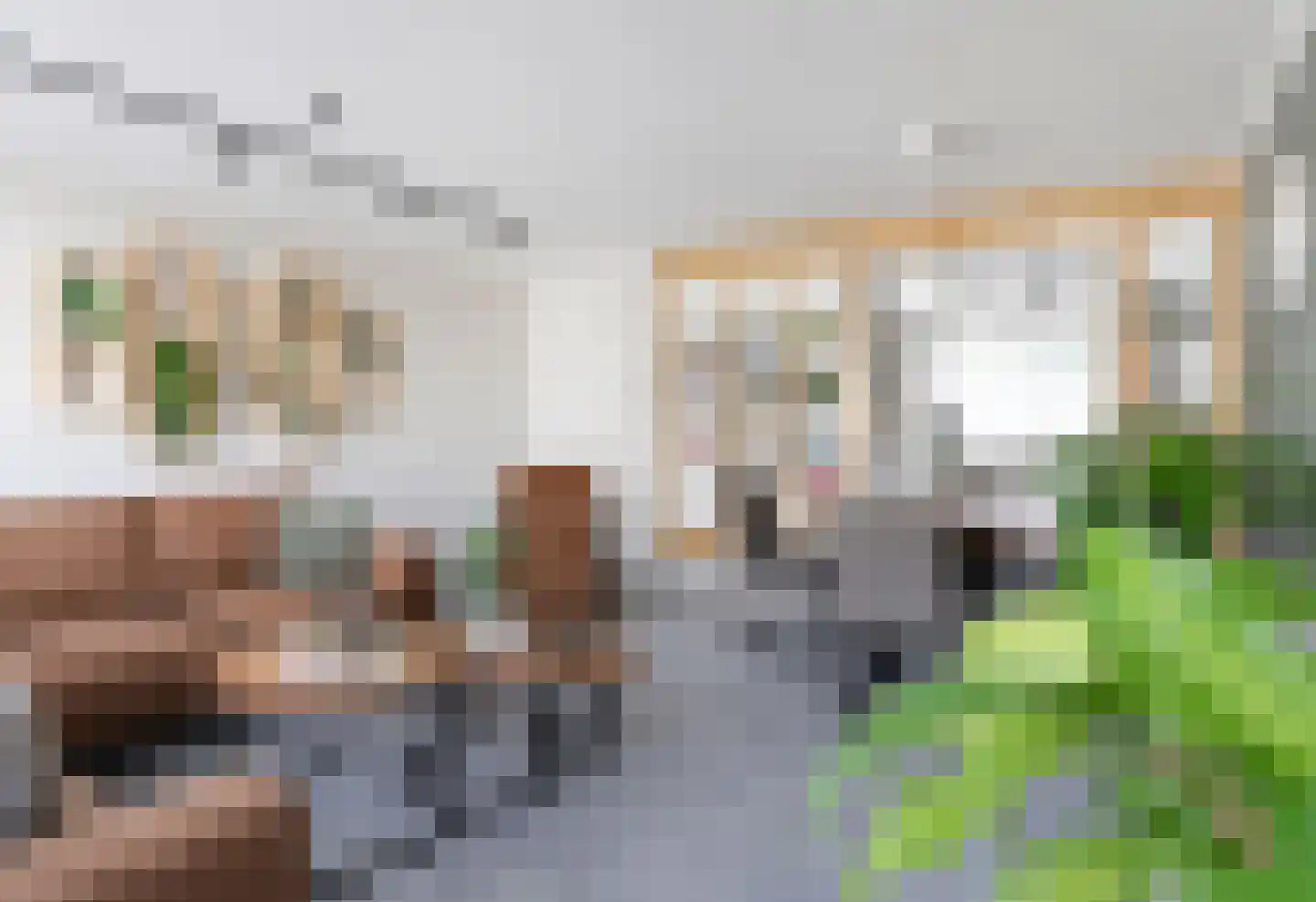 Hogaarde 30 Someren thumbnail 5