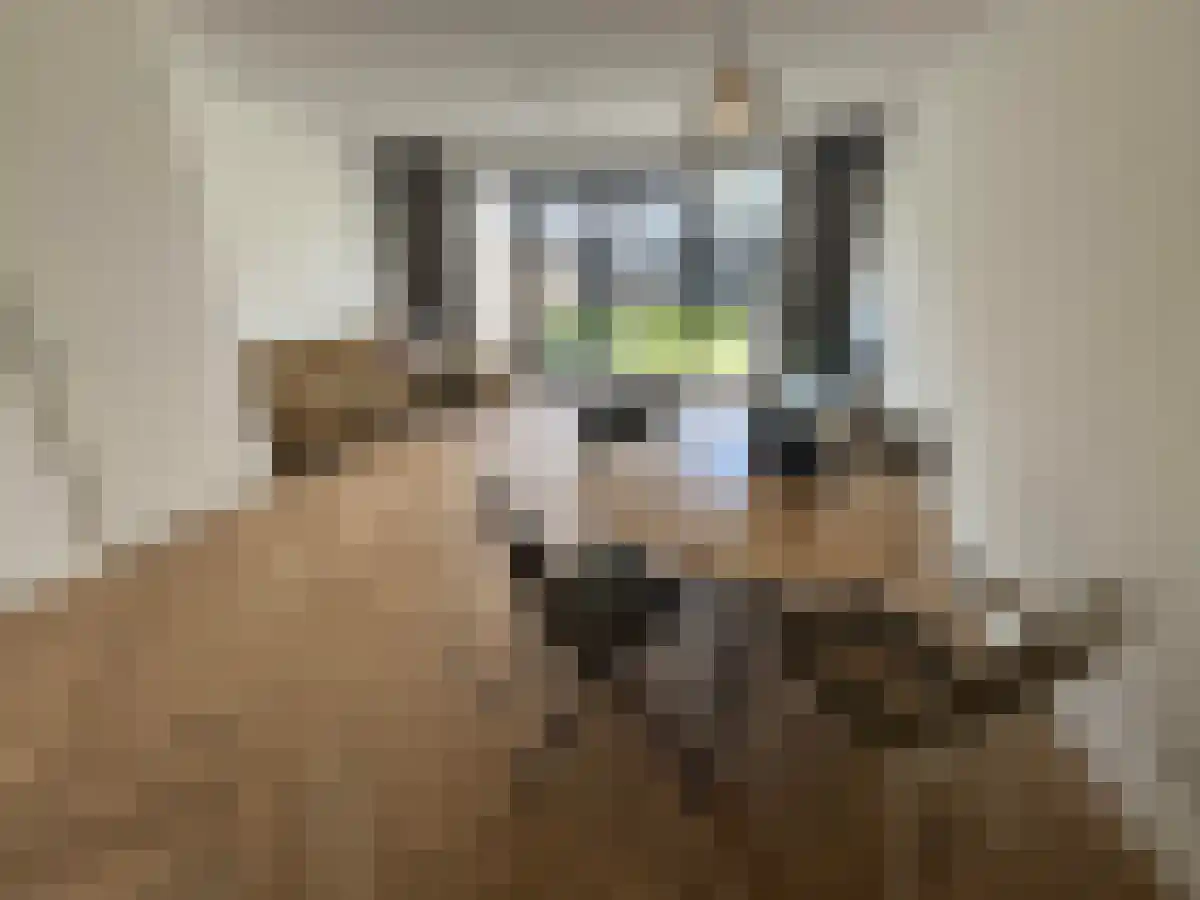 Hoge Akker 10 Nuenen thumbnail 6
