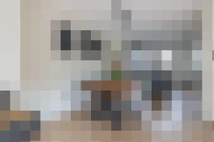 Hoge Akker 11 Nuenen thumbnail 15