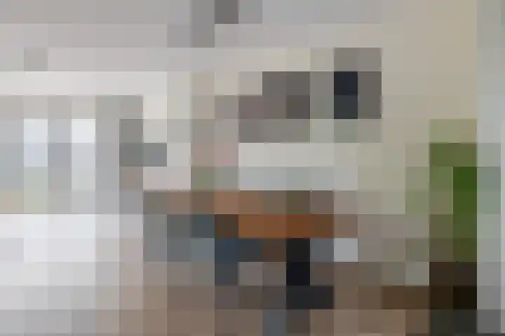 Hoge Akker 11 Nuenen thumbnail 16