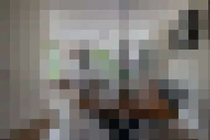 Hoge Akker 11 Nuenen thumbnail 17