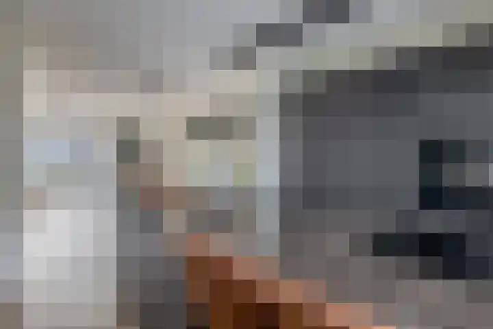 Hoge Akker 11 Nuenen thumbnail 22