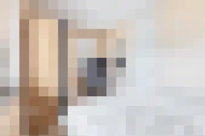 Hoge Akker 11 Nuenen thumbnail 26