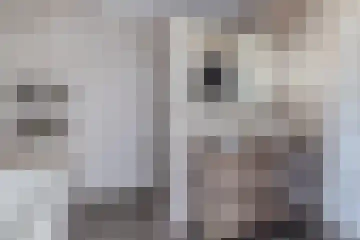 Hoge Akker 11 Nuenen thumbnail 28