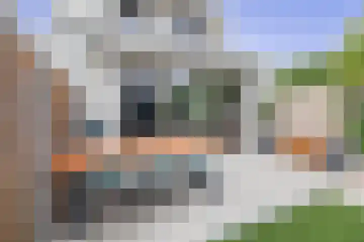 Hoge Akker 11 Nuenen thumbnail 33