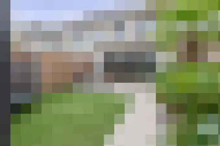 Hoge Akker 11 Nuenen thumbnail 34