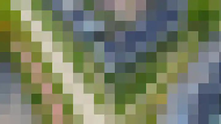 Hoge Akker 11 Nuenen thumbnail 43