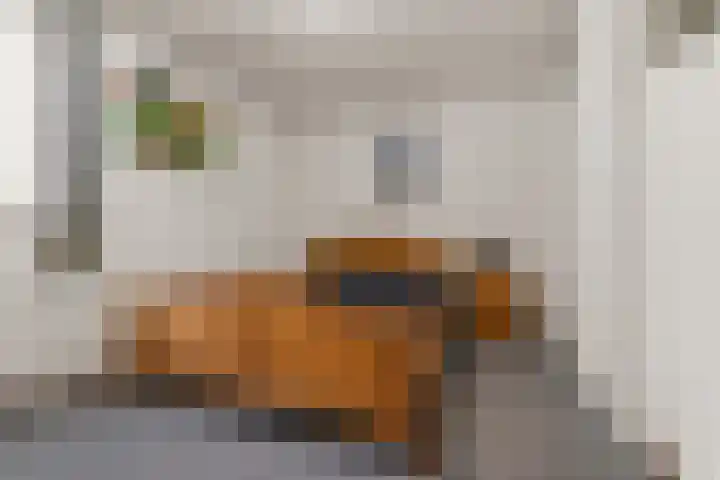 Hoge Akker 15 Rijkevoort thumbnail 12