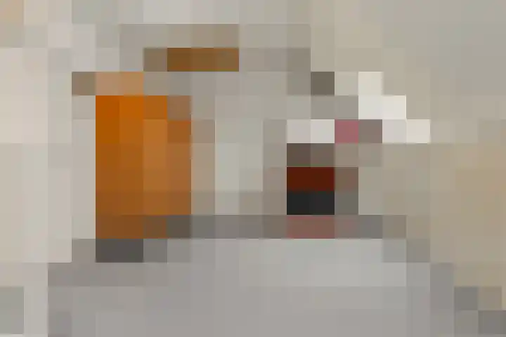 Hoge Akker 15 Rijkevoort thumbnail 19