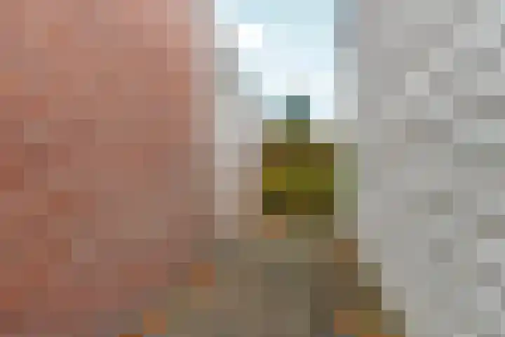 Hoge Akker 15 Rijkevoort thumbnail 21