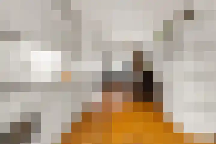 Hoge Akker 15 Rijkevoort foto 3