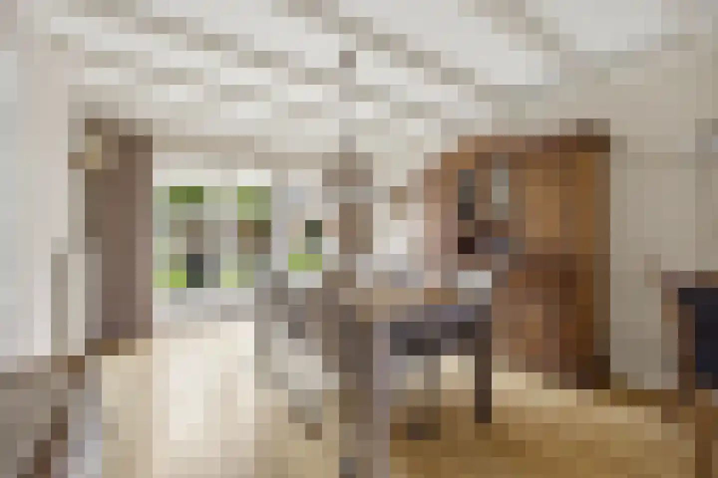 Hoge Akker 38 Den Hout thumbnail 15