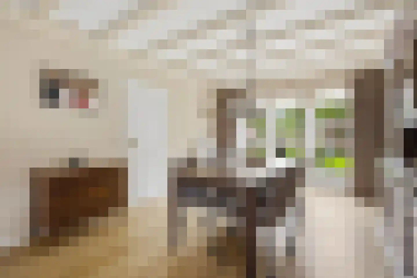 Hoge Akker 38 Den Hout thumbnail 17
