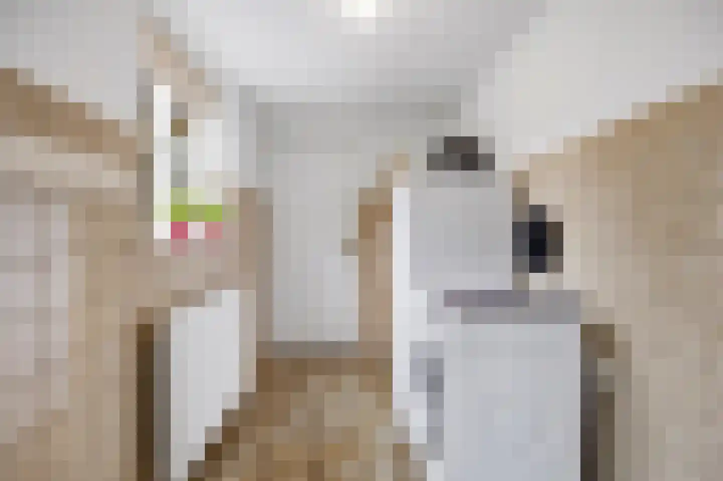 Hoge Akker 38 Den Hout thumbnail 22