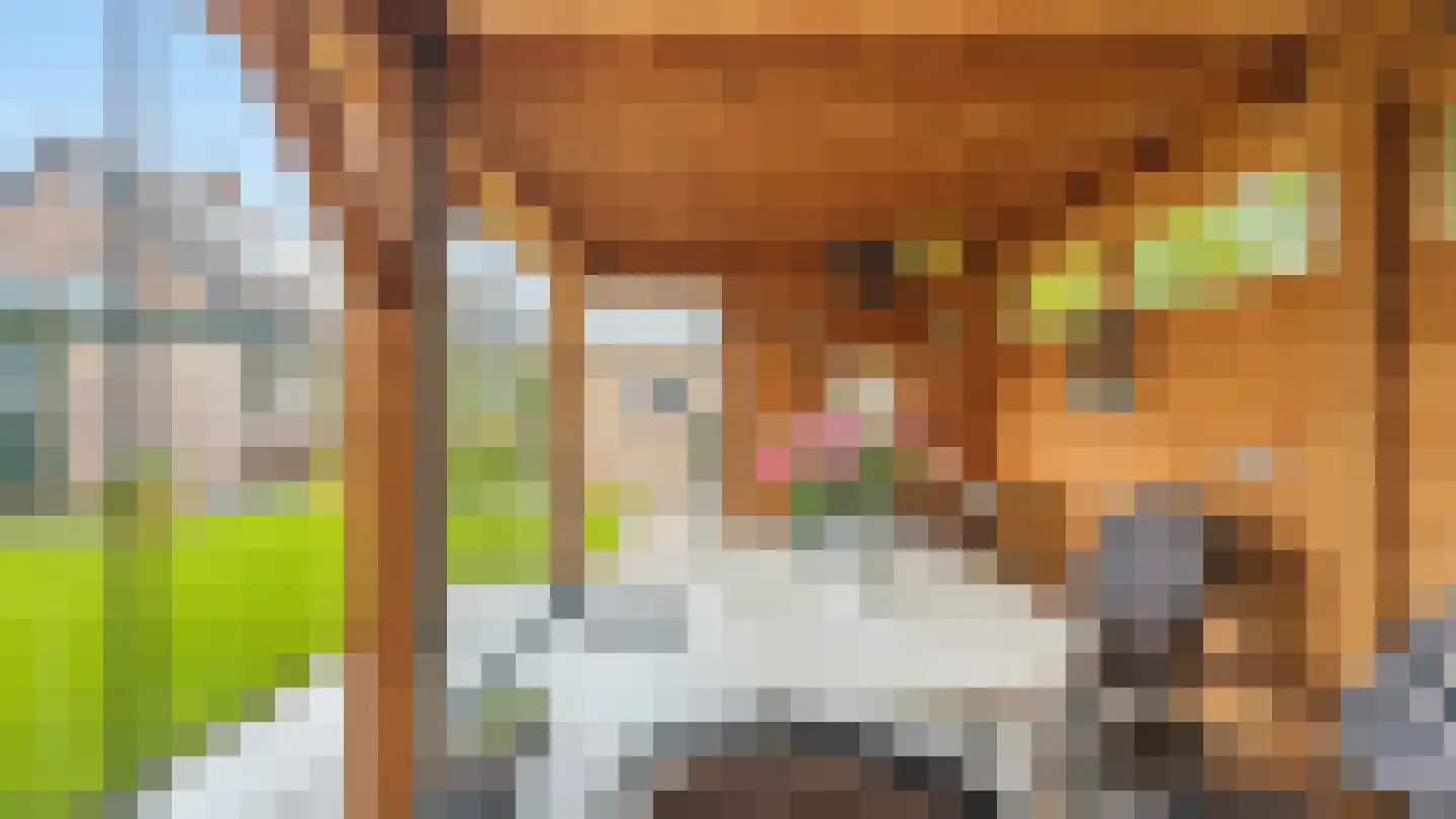 Hoge Akker 38 Den Hout thumbnail 44