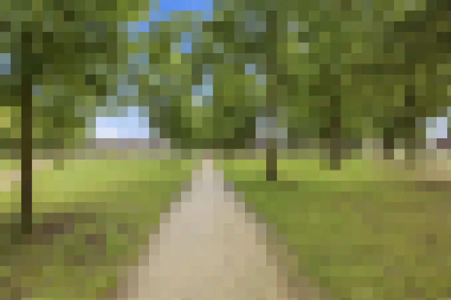 Hoge Akker 38 Den Hout thumbnail 47