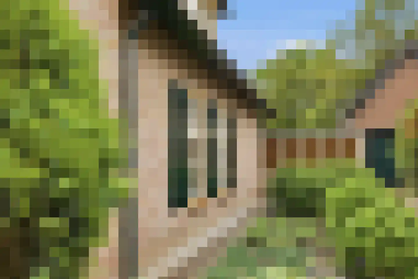 Hoge Akker 38 Den Hout thumbnail 6
