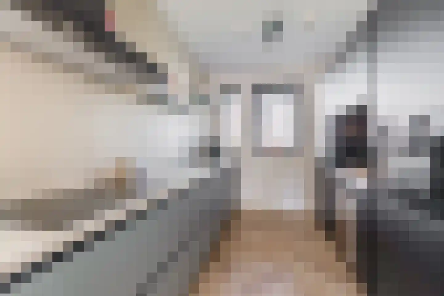 Hoge Akker 9 Nuenen thumbnail 18