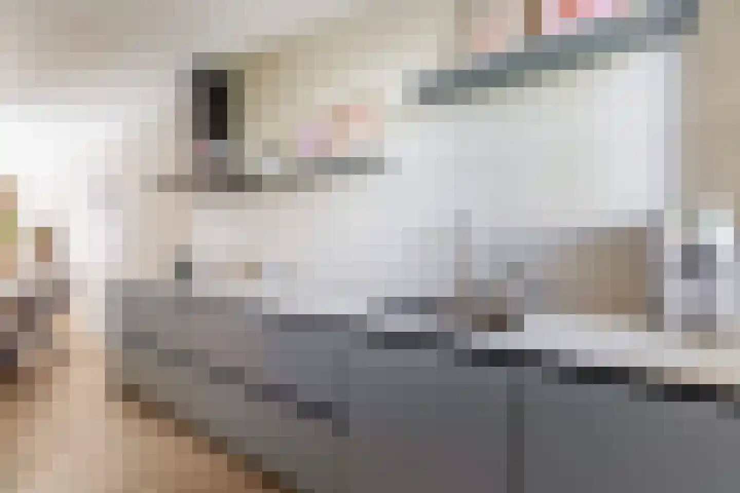Hoge Akker 9 Nuenen thumbnail 19