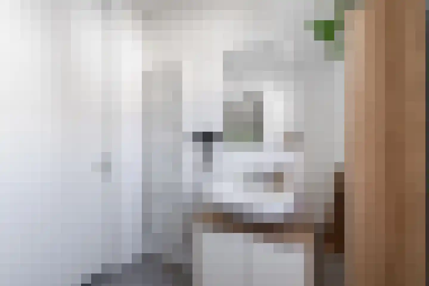 Hoge Akker 9 Nuenen thumbnail 28