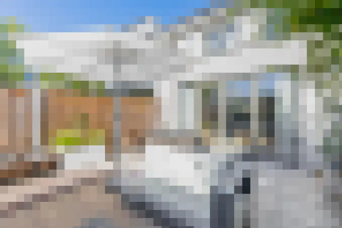 Hoge Akker 9 Nuenen thumbnail 35