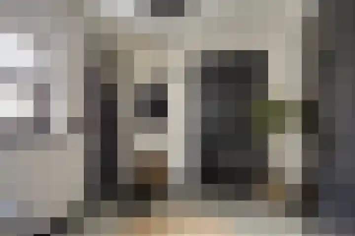 Hoge Akkerweg 8 Sprang-Capelle thumbnail 11