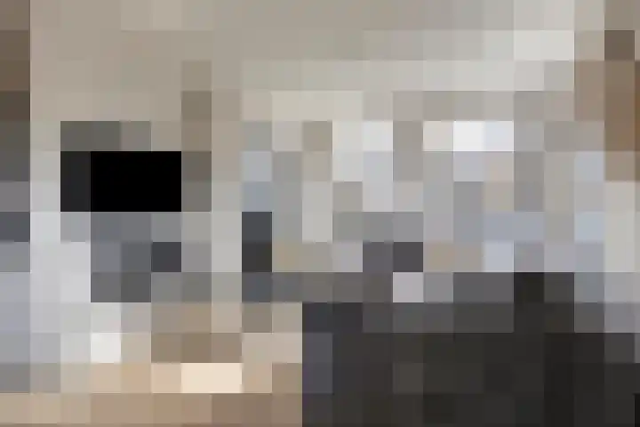 Hoge Akkerweg 8 Sprang-Capelle thumbnail 13
