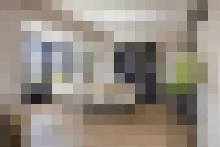 Hoge Akkerweg 8 Sprang-Capelle thumbnail 16